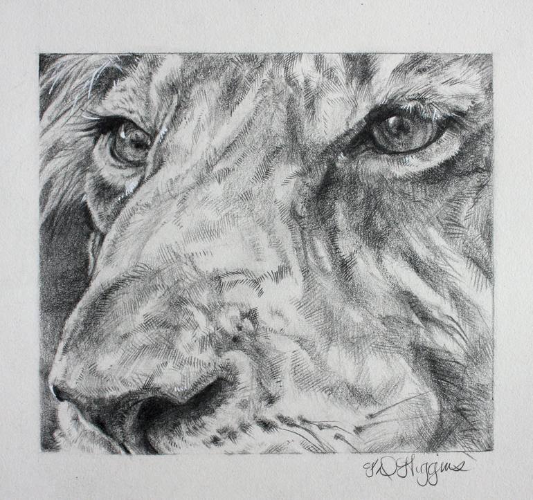 Lion Eyes Drawing by Derrick Higgins Saatchi Art