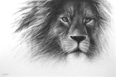 LION Portrait thumb