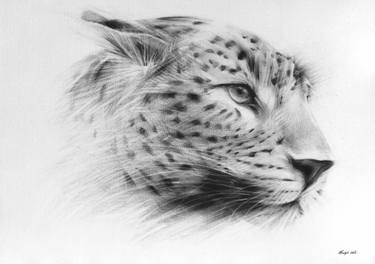 Original Animal Drawings by Mandy Croucamp