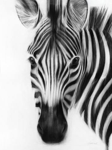 Original Realism Animal Drawings by Mandy Croucamp
