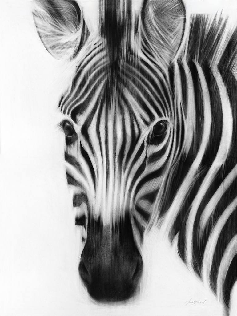 ZEBRA HAZE Drawing by Mandy Croucamp | Saatchi Art