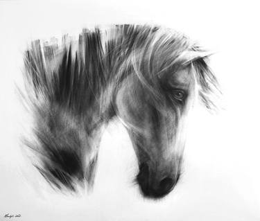 Print of Fine Art Animal Drawings by Mandy Croucamp