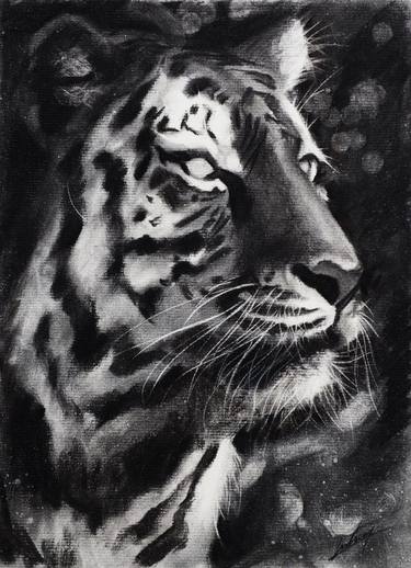 Tiger - Charcoal drawing thumb