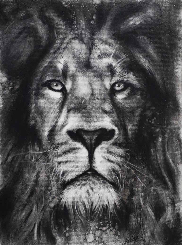 Lion - charcoal drawing Drawing by Iulian Cetanas | Saatchi Art
