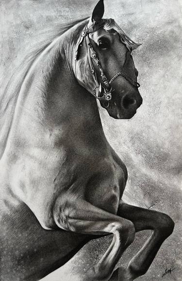 Horse - charcoal drawing thumb