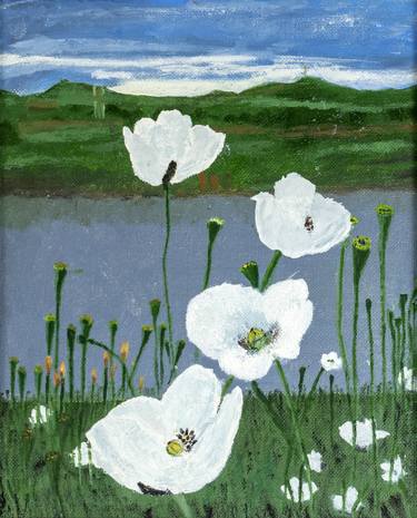 White poppies by the river thumb