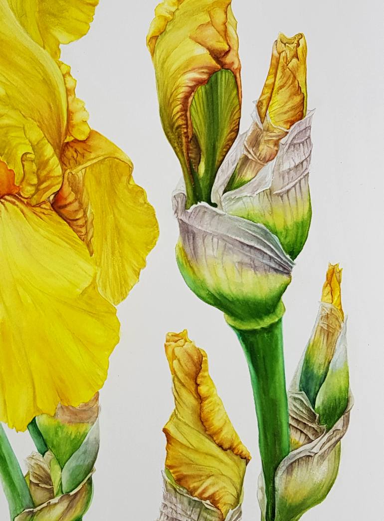 Original Figurative Botanic Painting by Albina Litvinova