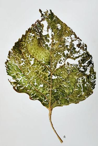 Dead leaf. Botanical illustration thumb