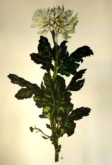 Print of Botanic Paintings by Albina Litvinova