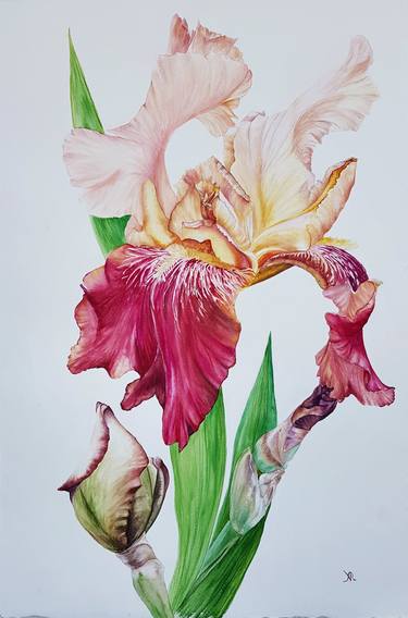 Print of Realism Botanic Paintings by Albina Litvinova