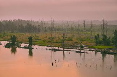 Print of Fine Art Landscape Photography by Ayotunde Oguntoyinbo