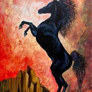 Collection Horse
