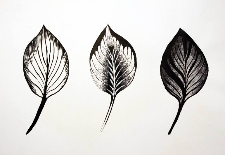 ink drawings of leaves