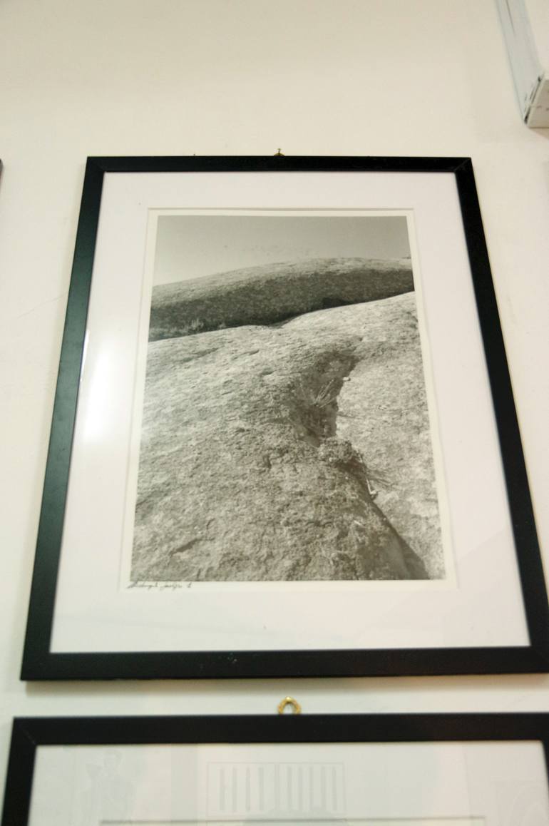 Original Other Nature Photography by Michelangelo Janigro