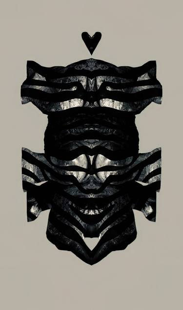 Rhino 1 symmetry, collection, black and white, bw, set, animal thumb