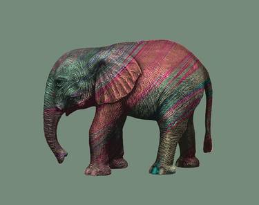 Elephant set, skin, geometric, colors, collection, flowers thumb