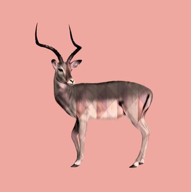 Pampas Deer set, skin, geometric, colors, collection, flowers thumb