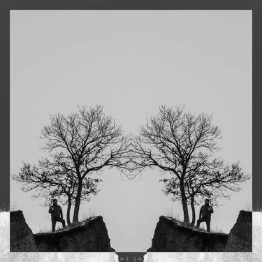Print of Art Deco Tree Photography by Patricia NA