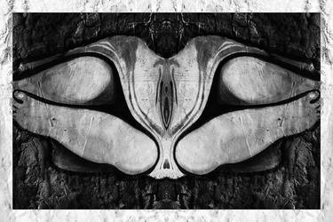 Bashful bw symmetry, collection, black and white, bw, set thumb