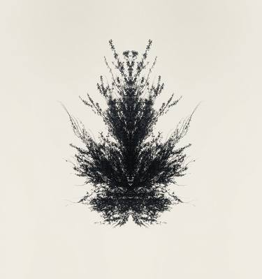 Print of Tree Mixed Media by Patricia NA