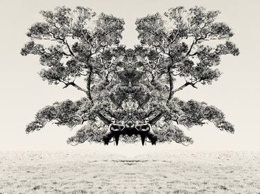 Print of Tree Mixed Media by Patricia NA
