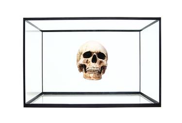 Print of Fine Art Mortality Photography by Isaeva Iuliia