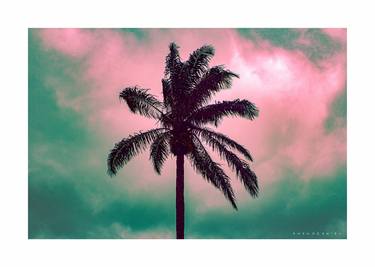 Print of Art Deco Nature Photography by Emeka Ezekiel