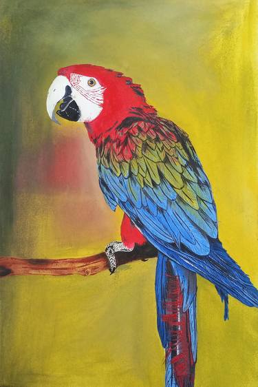 Red Macaw Parrot Bird thumb