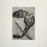 Untitled – Black and White Abstract Drawing on Paper by Noosha Golab