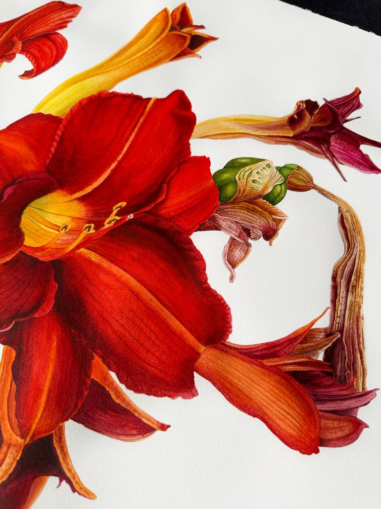 Original Photorealism Botanic Painting by Olha Khomych