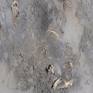 details 2
