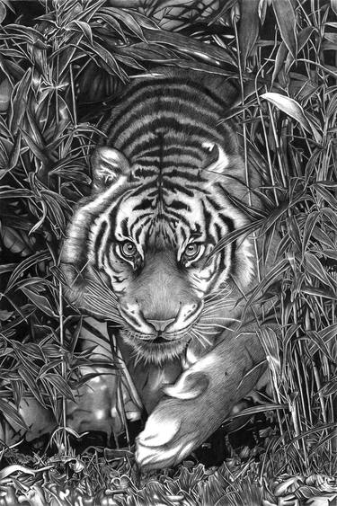 Print of Realism Animal Drawings by Igor Kisliy