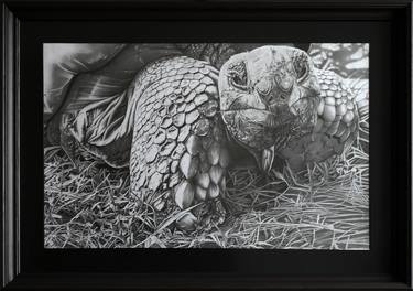 Original Realism Animal Drawings by Igor Kisliy