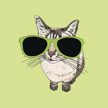 Gray Cat Wearing Oversized Sunglasses thumb