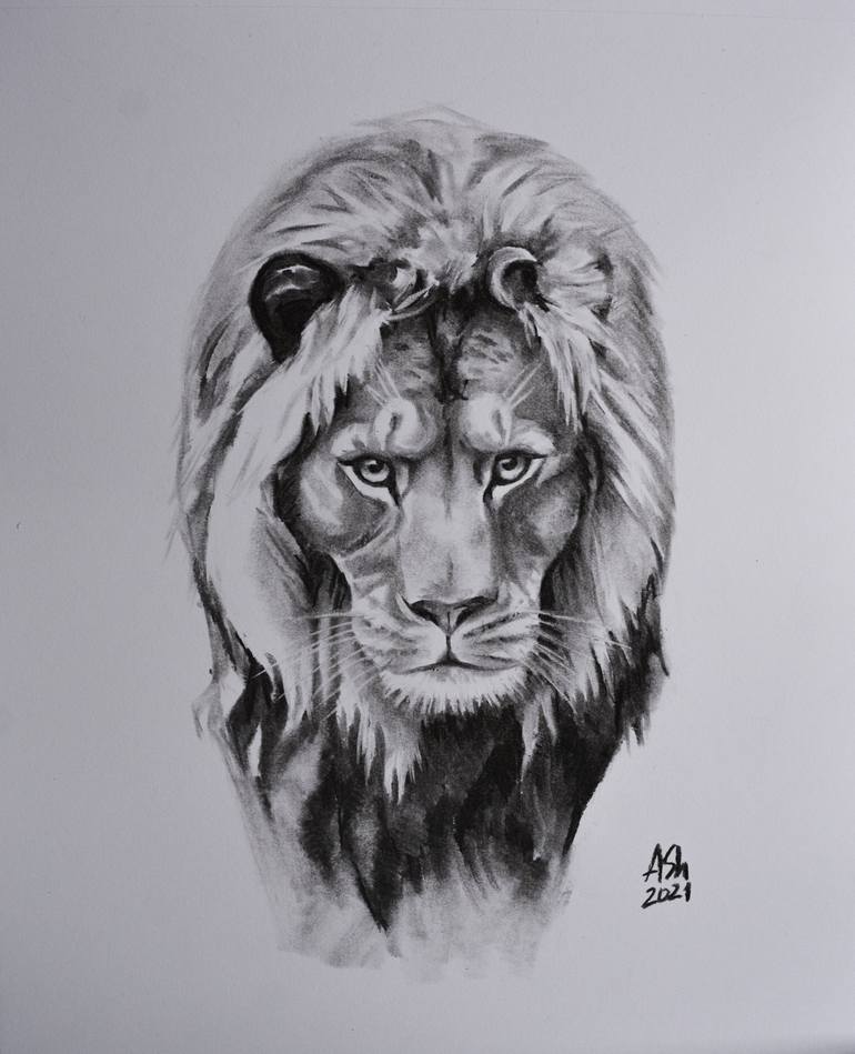 black and white lion drawing
