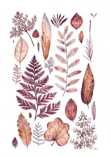 Print of Illustration Botanic Paintings by Ula Basińska