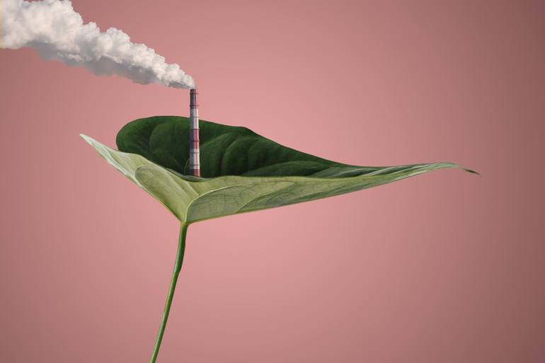 View in a Room Artwork