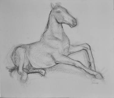 Print of Horse Drawings by Nazareno Gonzalez