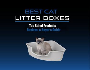 https://petsaw.com/best-cat-litter-boxes/ thumb