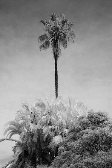Original Botanic Photography by Nick Psomiadis