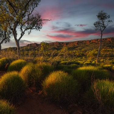 Original Landscape Photography by Nick Psomiadis