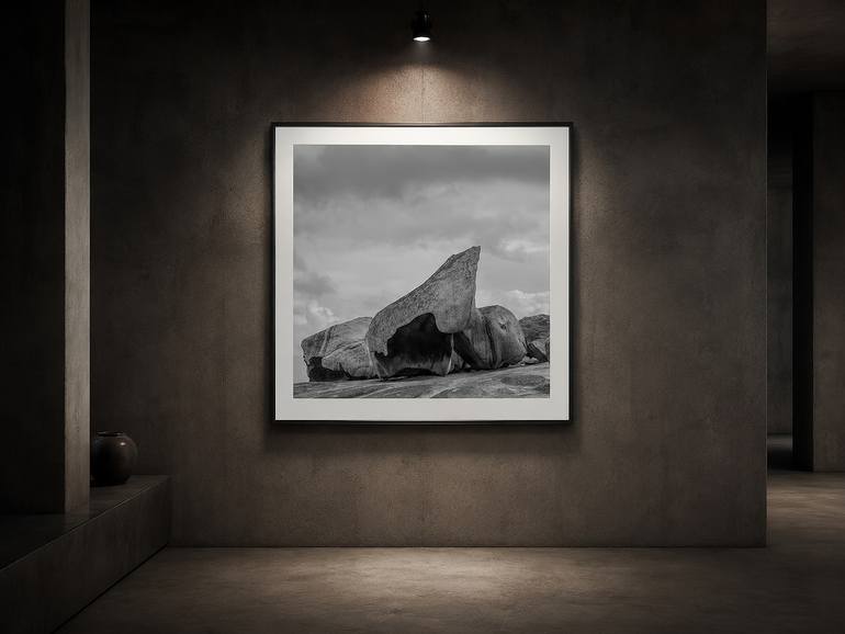 Original Abstract Nature Photography by Nick Psomiadis
