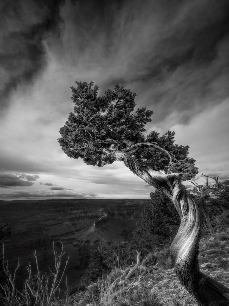 Original Landscape Photography by Nick Psomiadis | Black & White Art on Paper | South Rim Grand Canyon