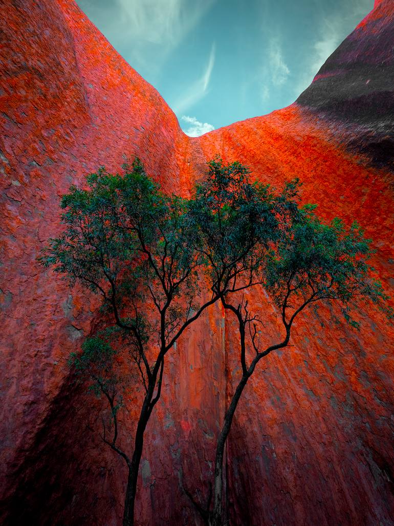 Original Fine Art Tree Photography by Nick Psomiadis