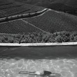 A Vista - Limited Edition of 25 by Matt Banahan