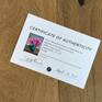 Certificate of Authenticity