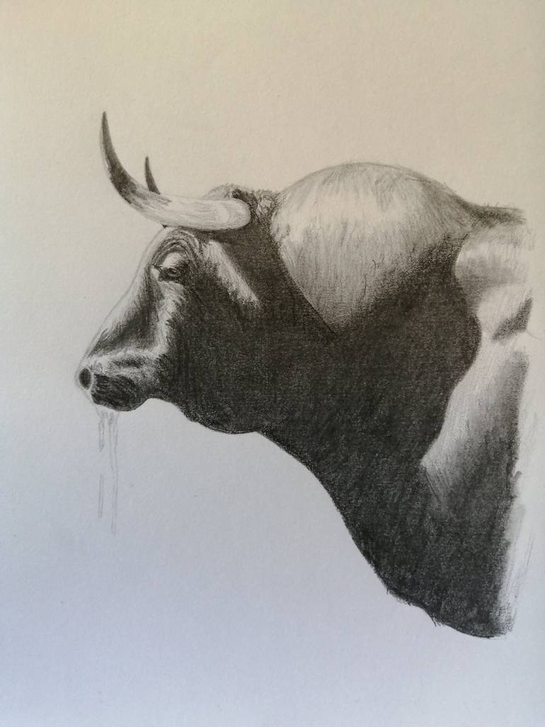 Toro Drawing by Pablo Susmozas Saatchi Art