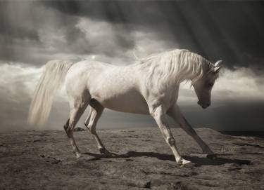 Print of Fine Art Horse Photography by Tristan Dark