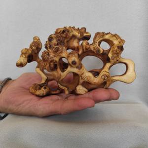 Coral
