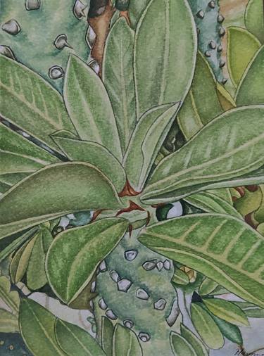 Original Illustration Botanic Paintings by Hamna Aziz